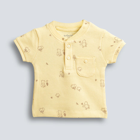 Honeycomb Dreams Comfort Duo