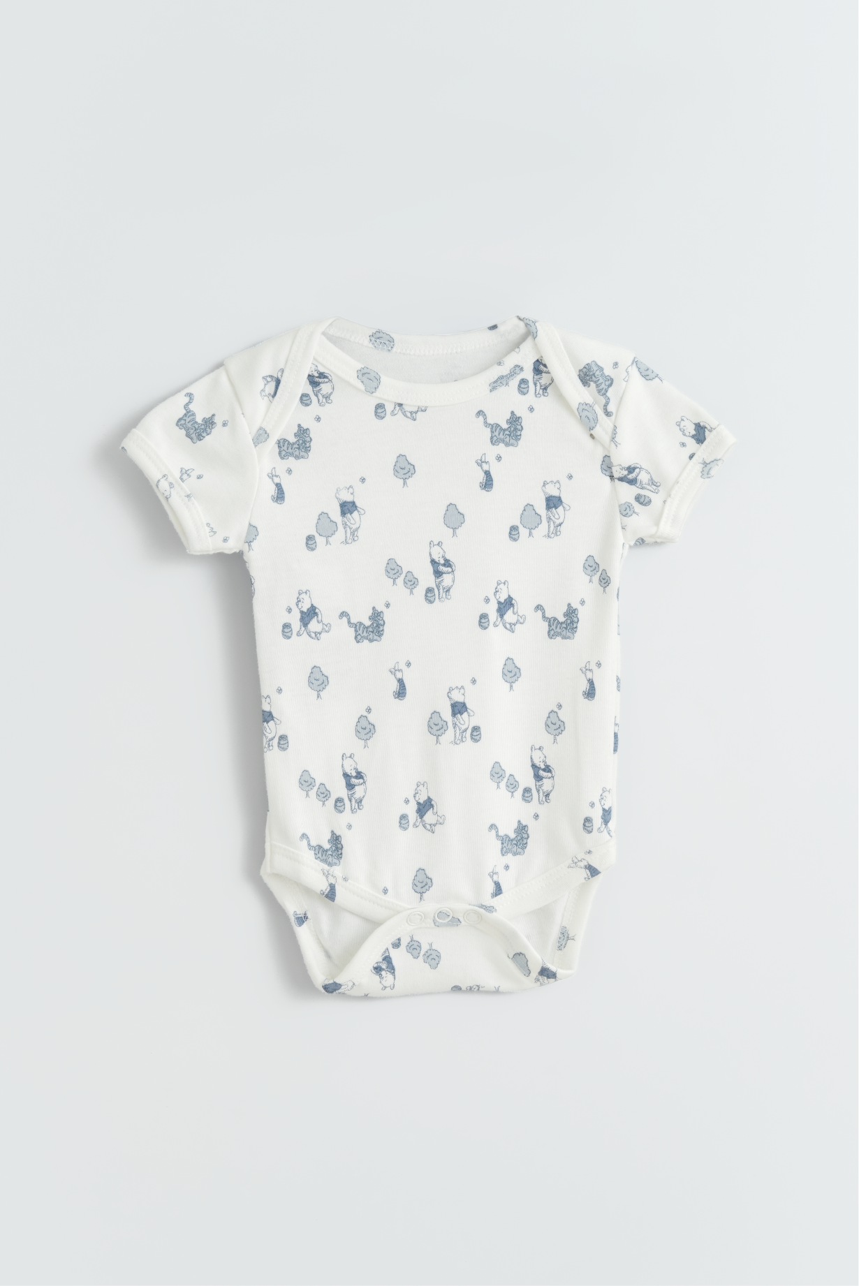 Winnie The Pooh Bodysuit