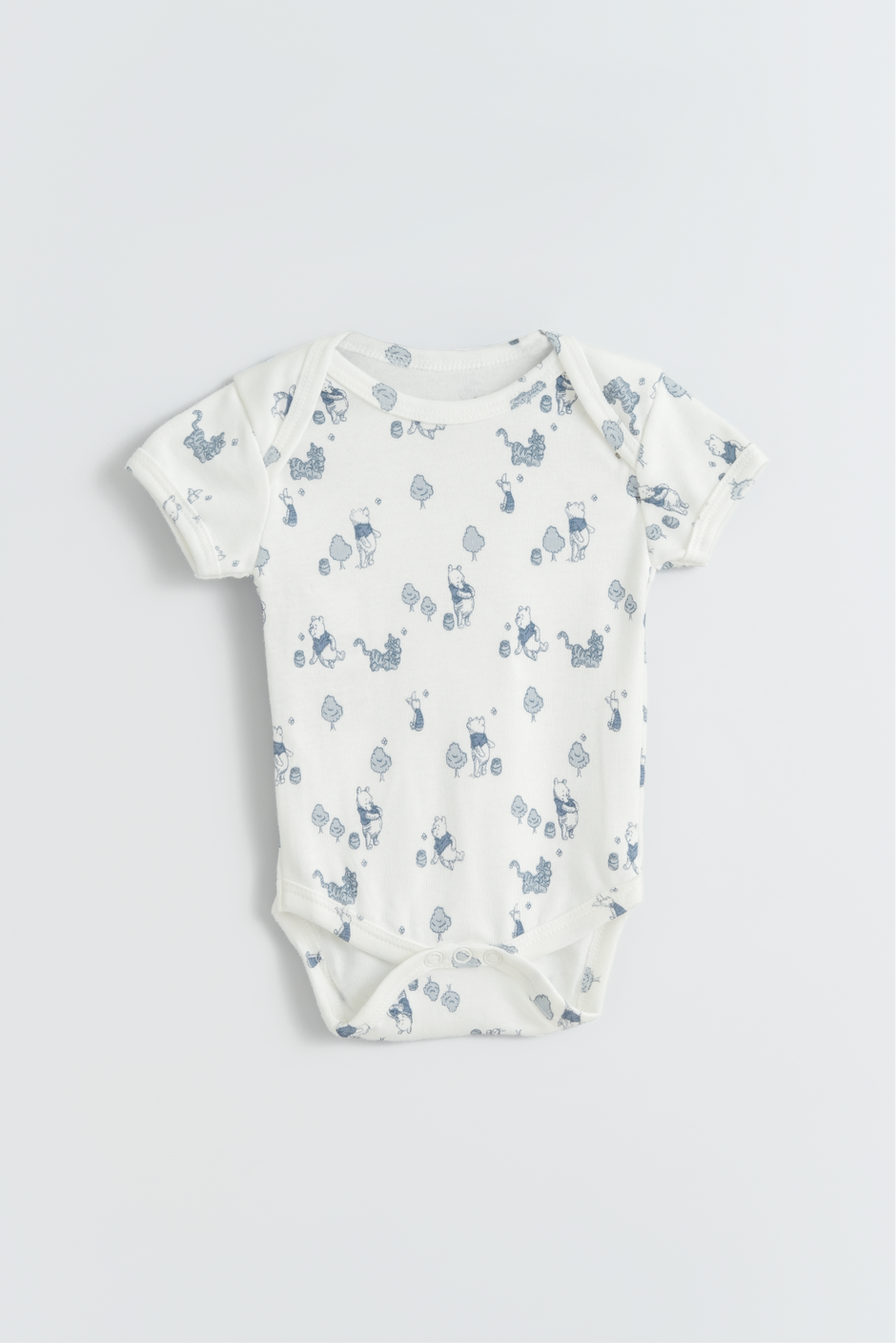 Winnie The Pooh Bodysuit