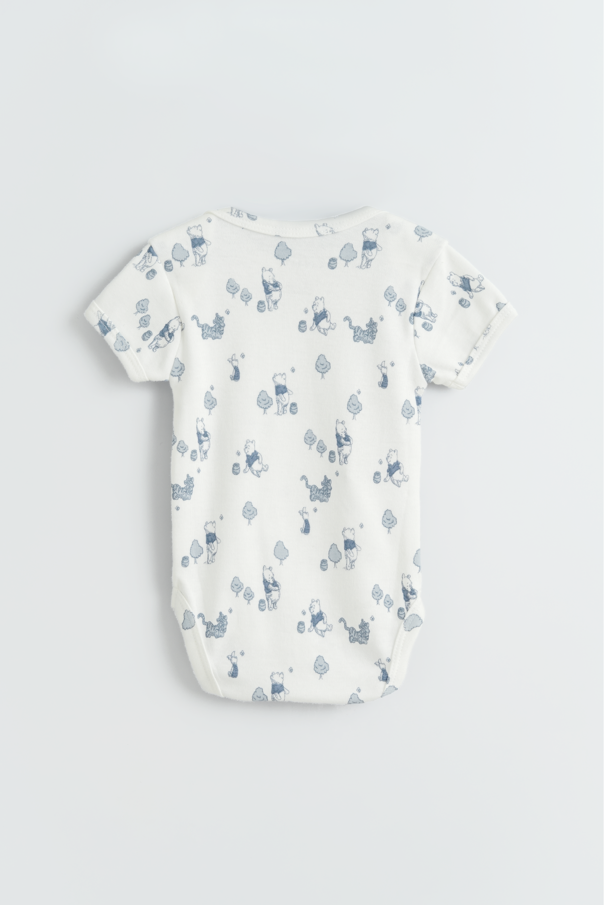 Winnie The Pooh Bodysuit