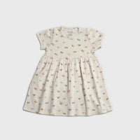 Flutter & Flit Frock